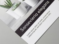 Papieren flyer met matte cellofaanlaminaat aan n zijde.