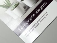 Papieren flyer met glanzende UV-lak aan n zijde.