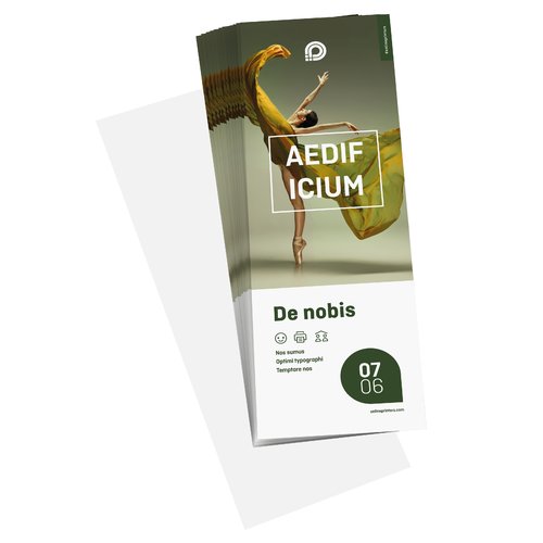 Flyers, inschieter voor DL, enkelzijdig bedrukt 1