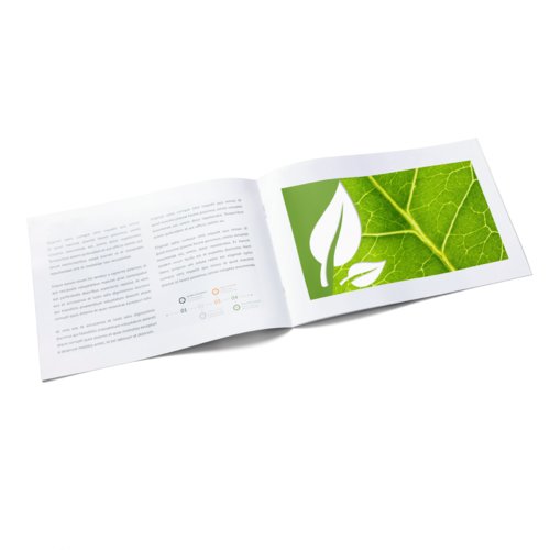 Brochure van natuurlijk papier met meerdere pagina's en rugnietbinding.