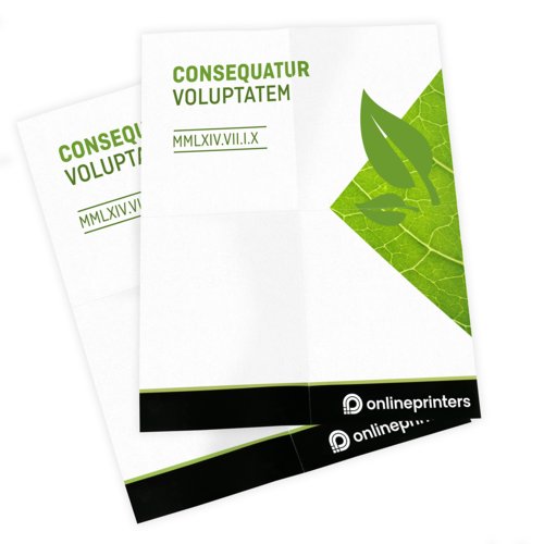 Posters eco-/natuurpapier, A2, dubbelzijdig bedrukt 4