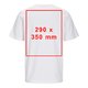 Wit katoenen T-shirt met korte mouwen en ronde hals, unisex model.