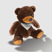 Teddybeer papa