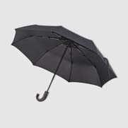 Opvouwbare Ferraghini-paraplu Southampton