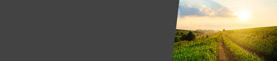 <span style='display:block;font-size: 34px; margin-top:15px;color:#ff9900;'>Voordeelactie in september</span>