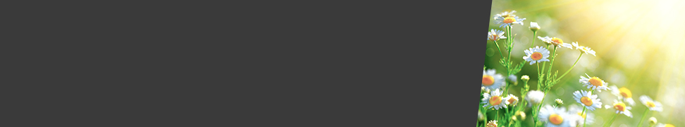 <span style='display:block;font-size: 34px; margin-top:15px;color:#ffffff;'>Begin de lente drukfris</span>