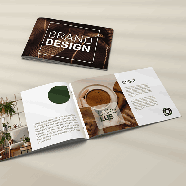 Afbeelding Opengeslagen brochure in huisstijl
