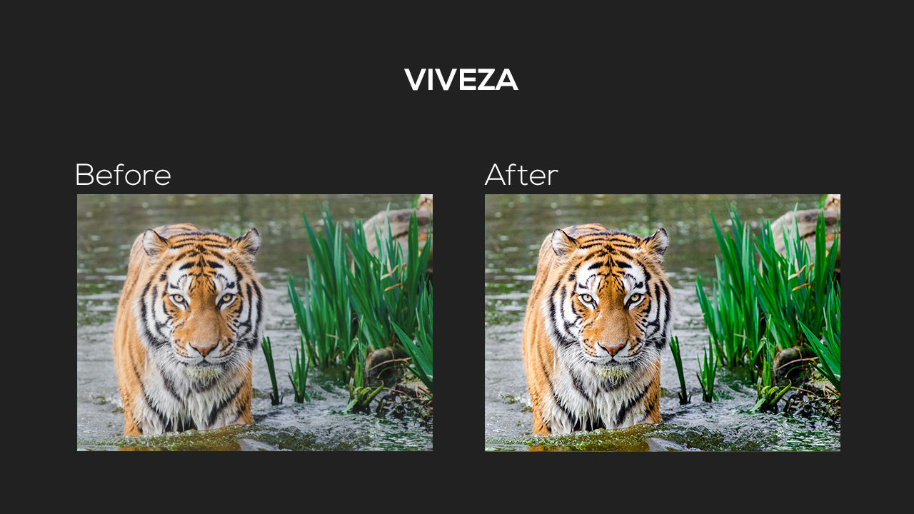 Photoshop tutorial: Google Nik Collection - Viveza