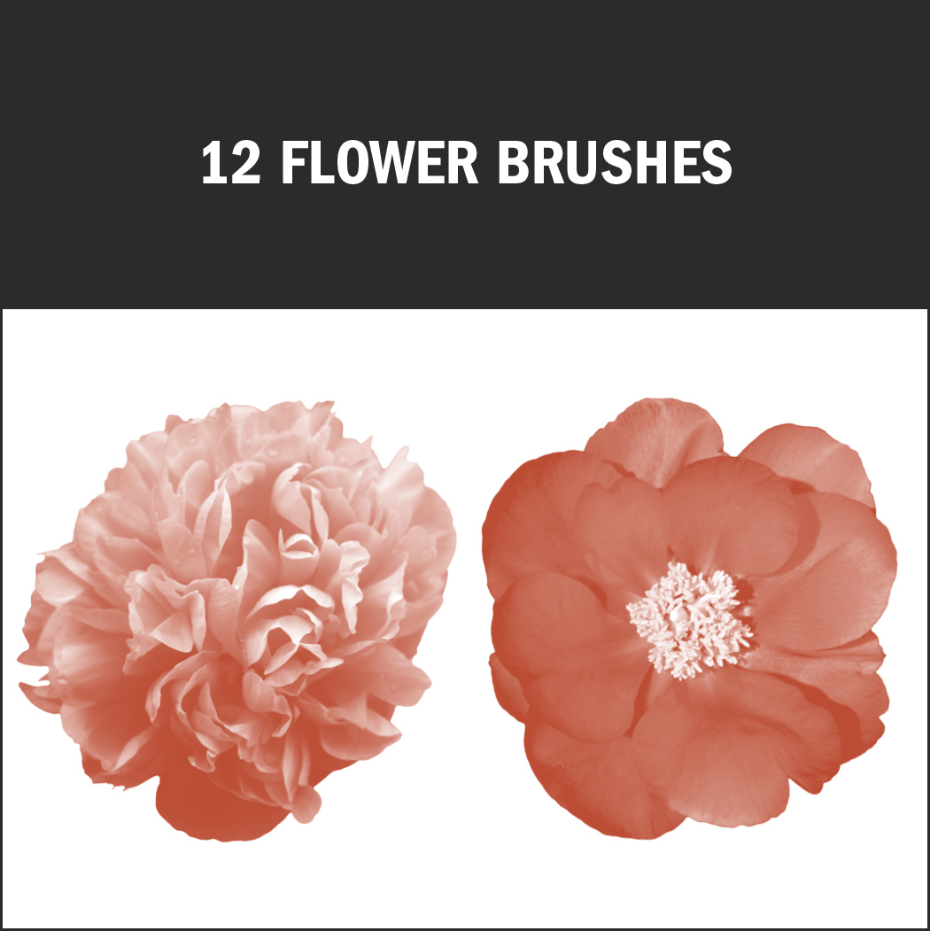 These free brushes inspire with delicate flower details.