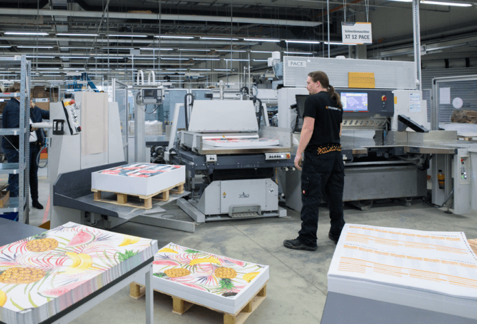 Een persoon staat in een grote, moderne drukkerij naast stapels kleurrijk bedrukte vellen met fruitmotieven. Industriële machines, pallets en stapels papier zijn zichtbaar in de lichte, overzichtelijke werkruimte.