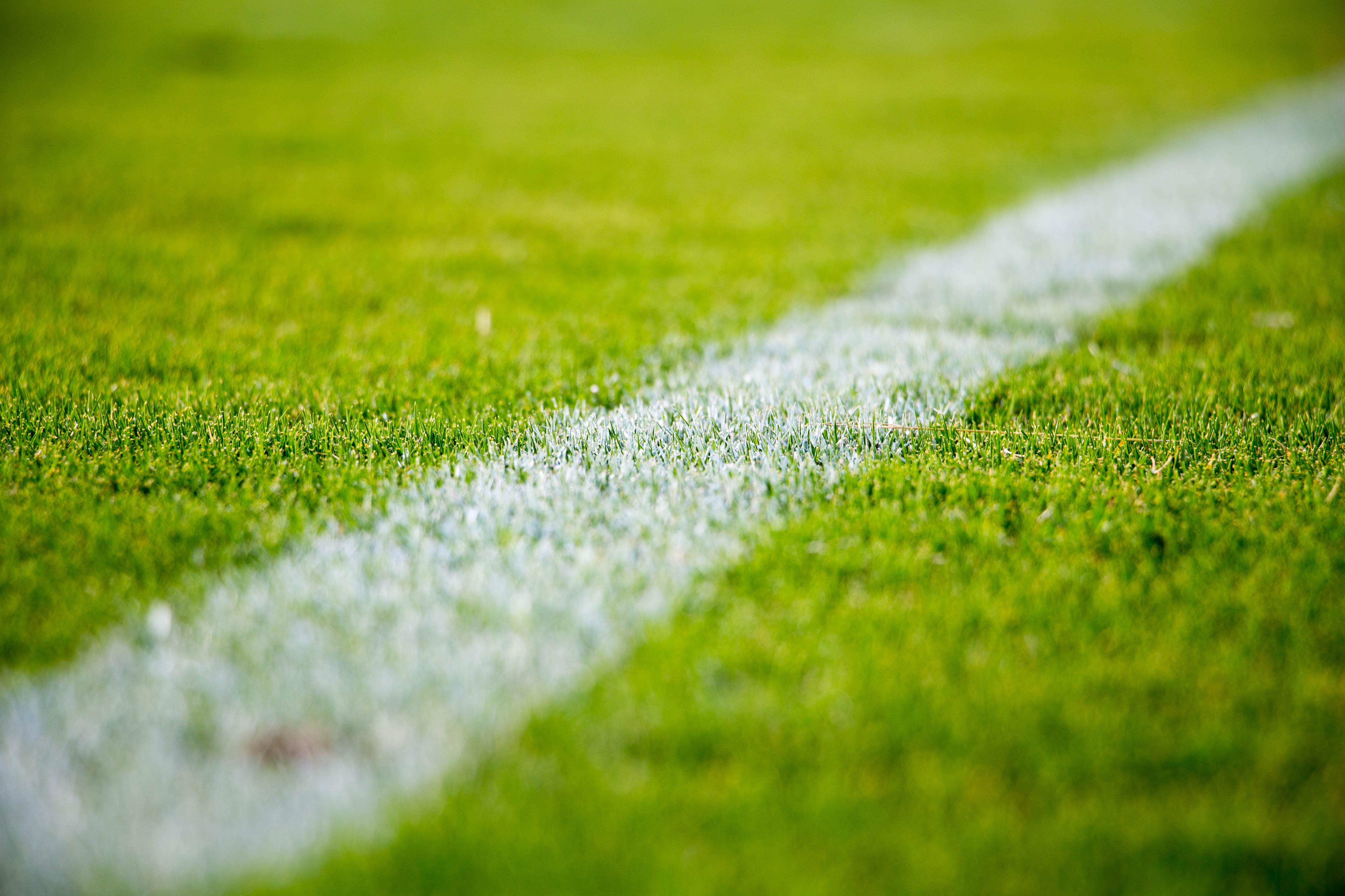 Close-up van een sportveld uit het speelplan van EM 2021, met een strak witte lijn die het weelderige groene gras van elkaar scheidt. De afbeelding benadrukt de textuur van het gras en de helderheid van de geschilderde lijn op het veld, en legt zo de essentie vast van de spannende wedstrijden die nog komen gaan.